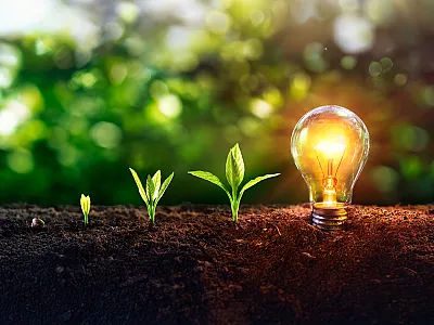 Image courtesy of Adobe Stock/ Romolo Tavani.