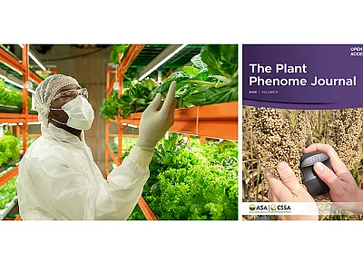 Phenomics of Germplasm Collection