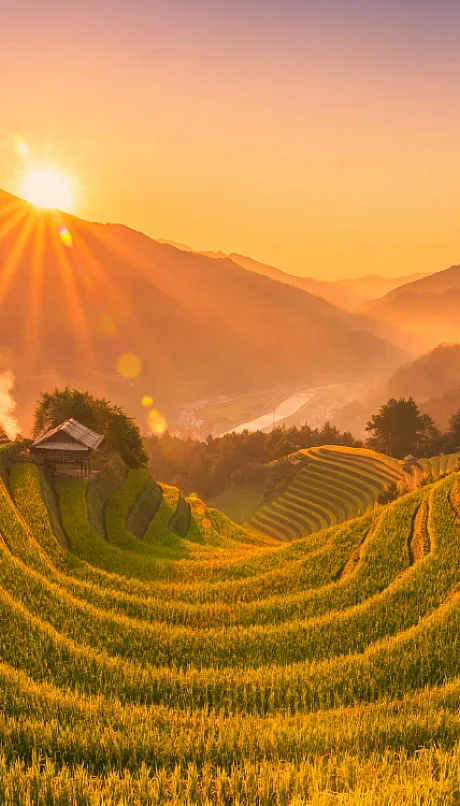 sunrise over terraced rice fields
