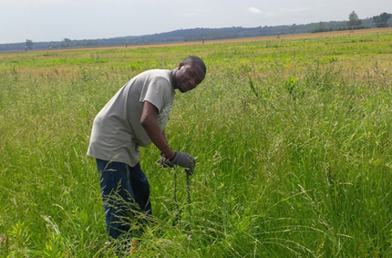 Taking soil samples in field