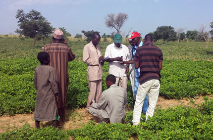 In-field soil assessment by researchers in NIger