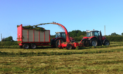 Harvesting grass forage