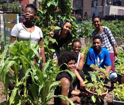 Teens in community garden