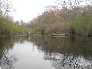 A veaver lodge on a pond