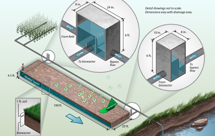 Bioreactor illustration