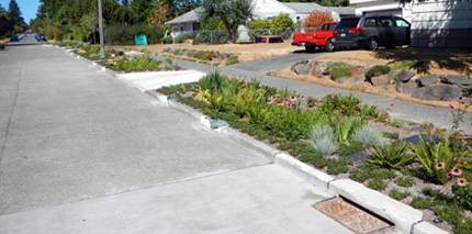 City street after rain garden installation