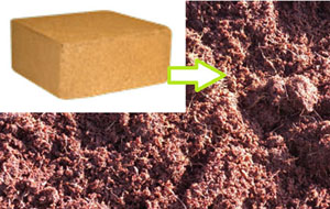 Coir in block form and reconstituted