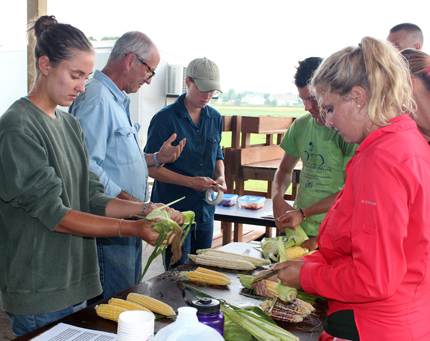 A group of people prepare different varieties of sweet corn near a field for a taste test..