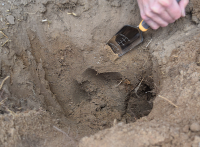 Trowel loosening up edges of a hole for planting garden