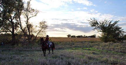 Boy and horse on land with production and recreation use