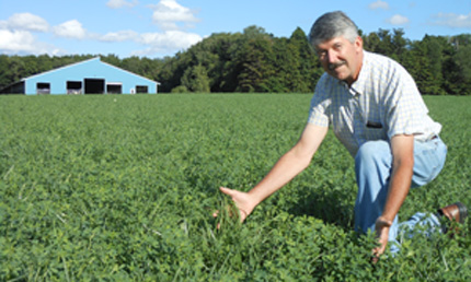 Ken Paddock in forage field