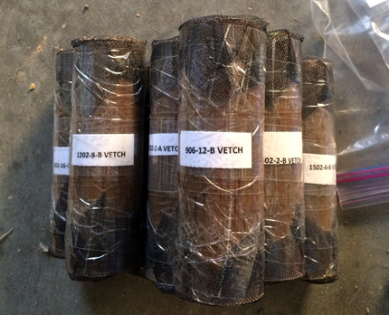 Labeled soil cores with hairy vetch roots 