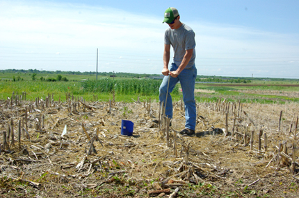 Soil test on claypan soil research plot