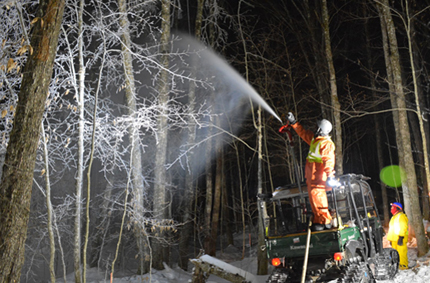 Spraying trees with water for ice experiment in forest