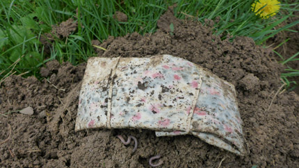 Cloth squares were buried in the soil for microbes to 