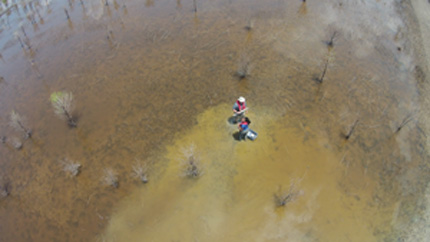 Soil sample collection Mississippi River restored wetland