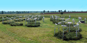 A view of the whole experimental layout after initiation of warming and precipitation treatments.