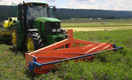 Crimper roller on organic cover crop