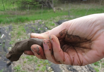 Making a soil ribbon