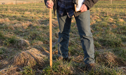 Measuring pasture grass