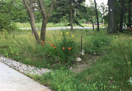 Driveway swale with rocks and flowers