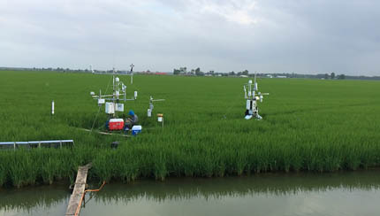 Eddy covariance towers for long term and temporary data in Arkansas rice field