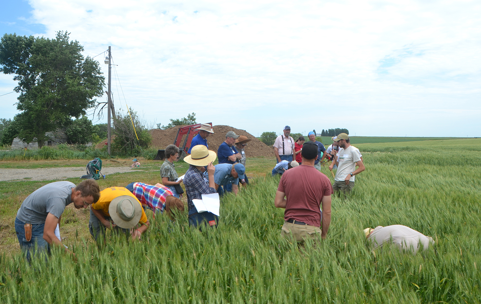 Iowa farmers at a field day