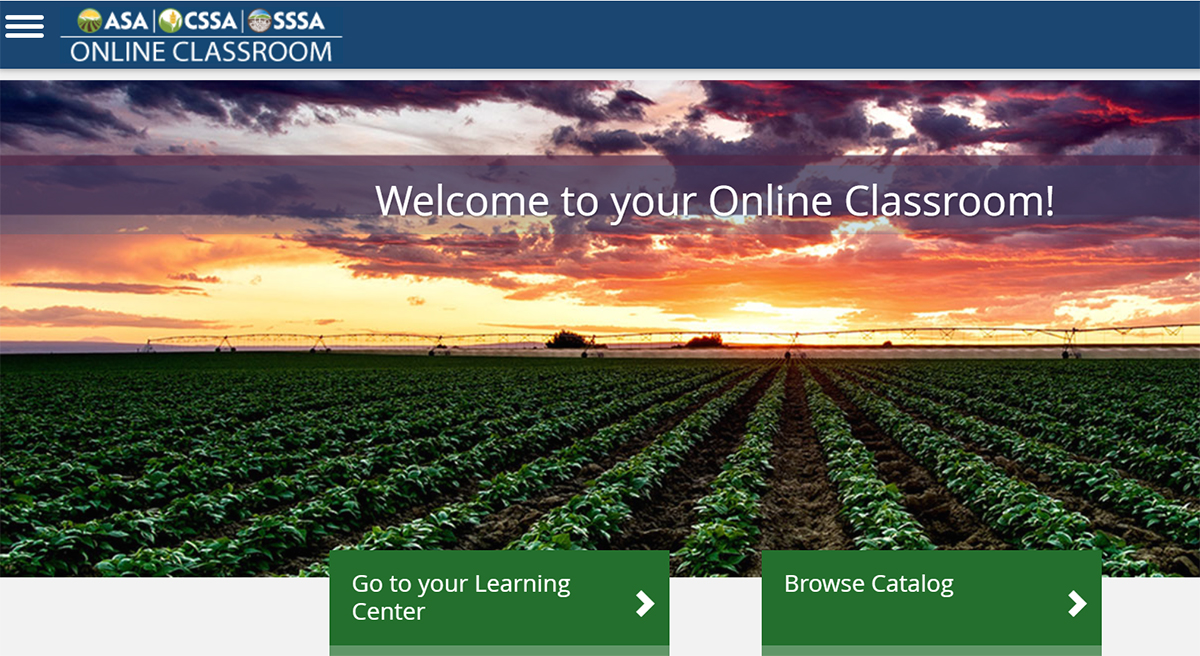 Online Classroom