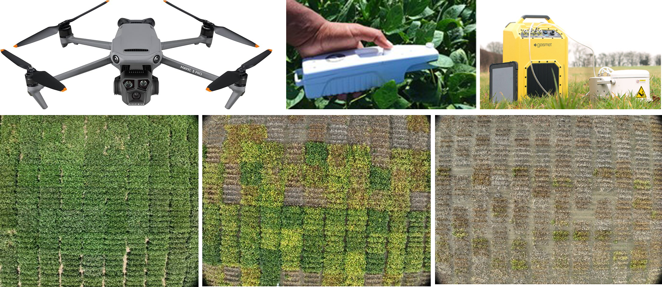 Advanced technologies for variety selection accuracy: