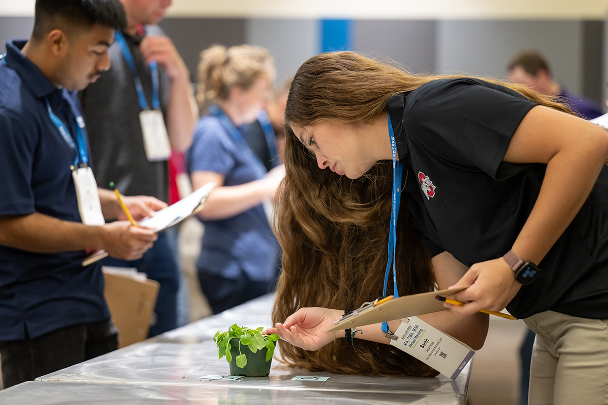 At the  2024 Annual Meeting (now known as CANVAS), undergraduate students were able to participate in numerous activities, such as the Crops Judging Contest shown here. 