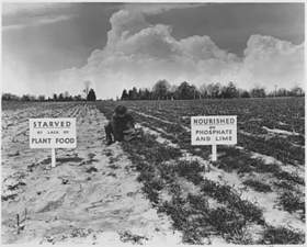 Fertilizer on field