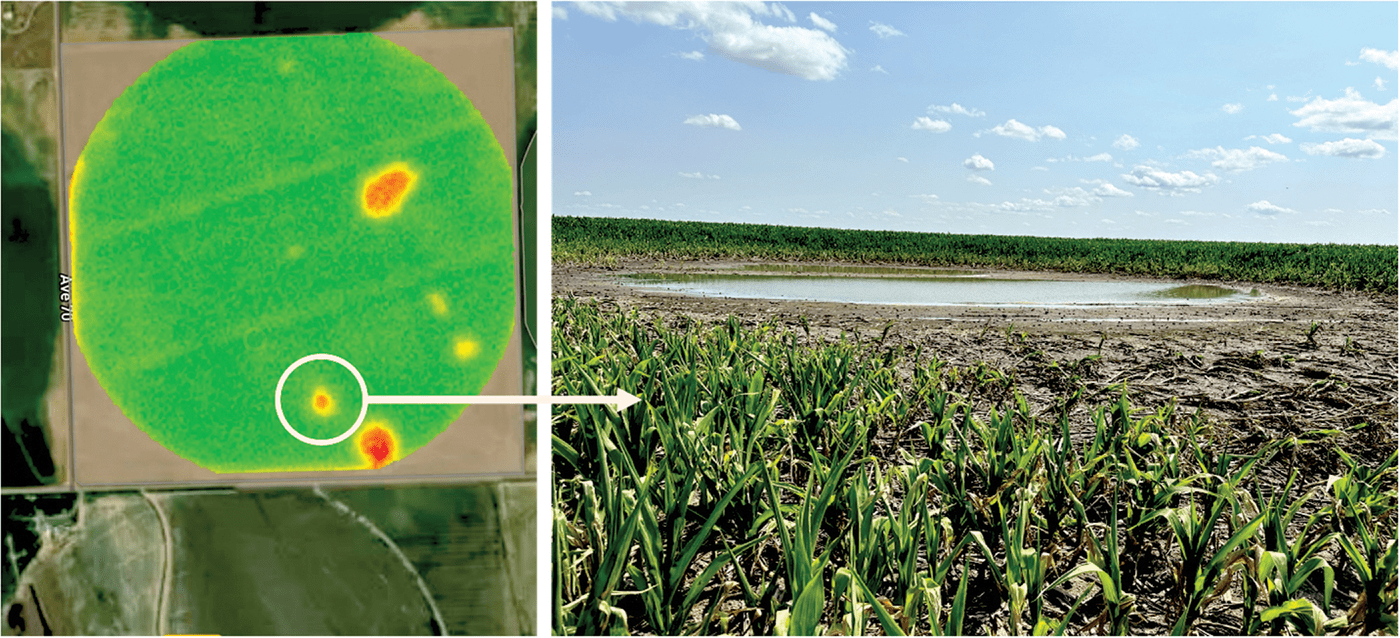 Left: Satellite imagery with a normalized difference red edge (NDRE) layer of a corn field in west-central Nebraska; Right: Photo taken of the actual site during field scouting.