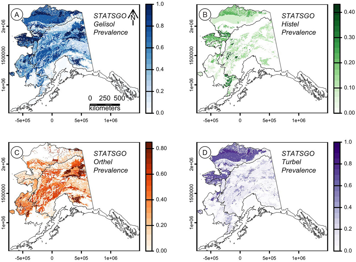 Prevalence of (A) Gelisols, (B) Histels, (C) Orthels, and (D) Turbels across the state of Alaska in the Alaska State Soil Geographic Dataset. Gelisols are permafrost-affected soils. Image from Jelinski et al. (2024).