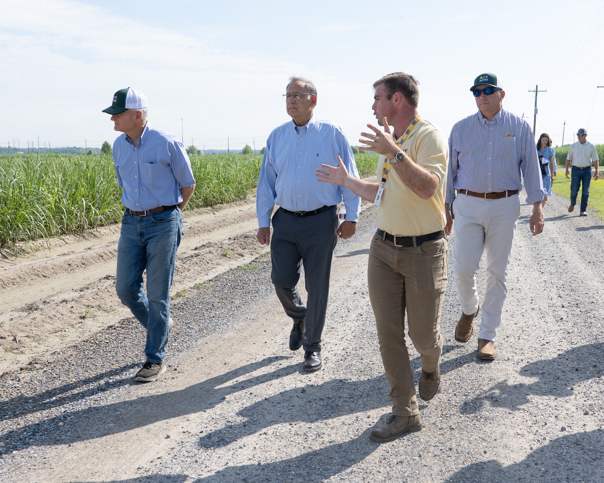 Blanchard (yellow shirt) conducts a tour of the LSU AgCenter Sugar Research Station with (l to r) Sen. Bill Cassidy (LA), Sen. John Boozman (AR), and the Vice President of the LSU AgCenter and Dean of the LSU College of Agriculture, Dr. Matt Lee. Photo courtesy of Brayden Blanchard.