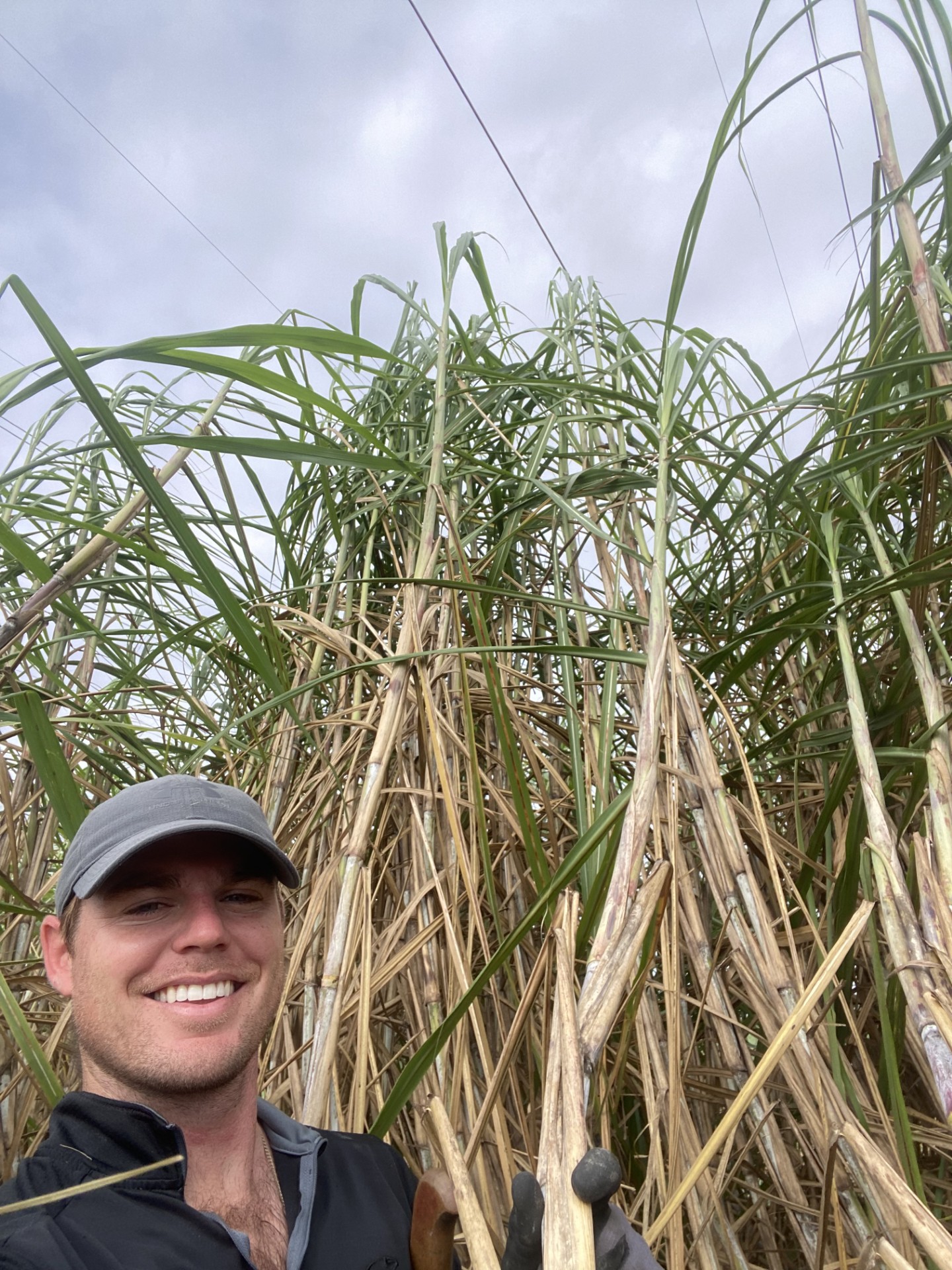 Blanchard stands in one of his diversity panel variety trials. Photo courtesy of Brayden Blanchard.