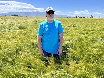 Clay Kaasa, Director of U.S. Grain Procurement at Great Western Malting Company, stands in a field of Top Shelf near Burley, ID. Photo courtesy of Pat Hayes.