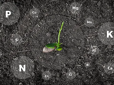 Photo courtesy of Adobe Stock/ooddysmile.