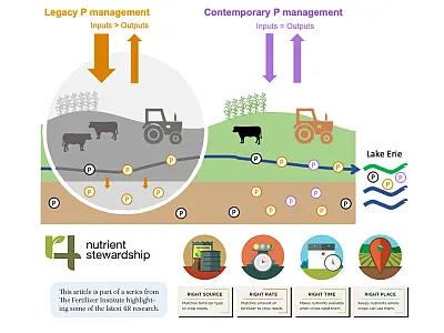Managing the legacy of P inputs and outputs is an integral part of 4R Nutrient Stewardship. Illustration courtesy of the USDA Legacy Phosphorus project.