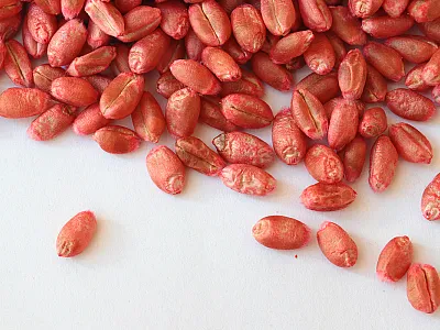 Photo courtesy of Adobe Stock/Aleksa.