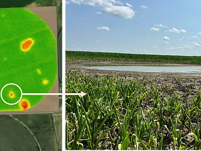 Figure 1. Left: Satellite imagery with a normalized difference red edge (NDRE) layer of a corn field in west-central Nebraska. Right: Photo taken of the actual site during field scouting.