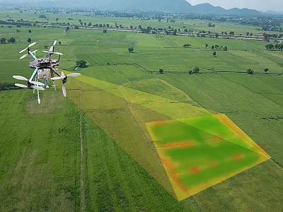 Photo courtesy of Adobe Stock/Monopoly919.