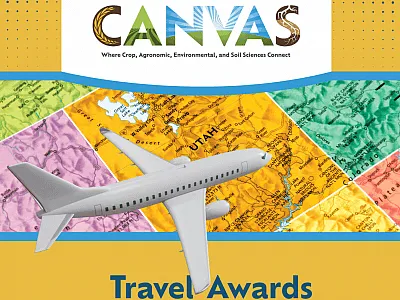 Travel awards