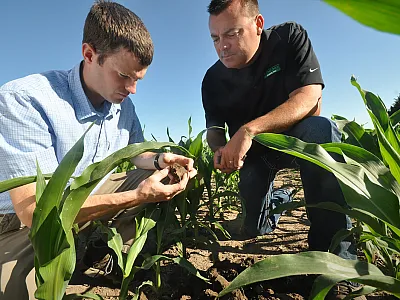 Photo courtesy of USDA-NRCS.