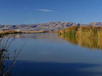 The Bear River Migratory Bird Refuge was the first stop on ASA's Land Management and Conservation Section tour during CANVAS 2025. Photo by Ray Weil.