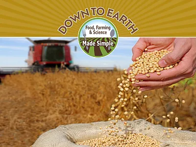 Photo courtesy of Adobe Stock/branex.