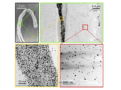 Transmission electron microscopy images of a cross-section of an immature cotton nanocomposite fiber at increasing magnifications. Top left: Overview of a single fiber. Top right, bottom left, and bottom right: High magnification views of the cotton lumen (yellow box) and the secondary cell wall (red box), showing a dense, high concentration of silver nanoparticles in the lumen and a lower concentration in the cell wall. Photo courtesy of Yang Mu, Louisiana State University.