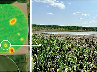 Left: Satellite imagery with a normalized difference red edge (NDRE) layer of a corn field in west-central Nebraska; Right: Photo taken of the actual site during field scouting.