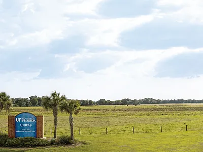 The University of Florida Range Cattle Research and Education Center. Photo courtesy of Maria Silveira