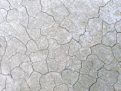 Extreme soil salinity exhibited in takyr soil in the Karakum Desert in Turkmenistan. Photo by Alexander Yakirevic.