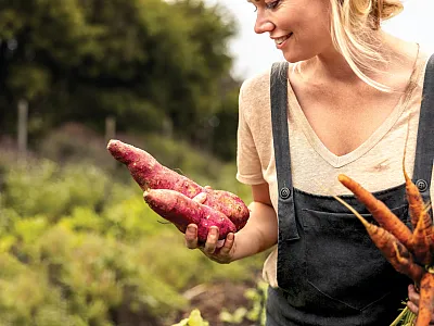 Photo courtesy of Adobe Stock/Jacob Lund.